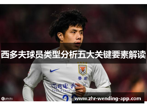 西多夫球员类型分析五大关键要素解读